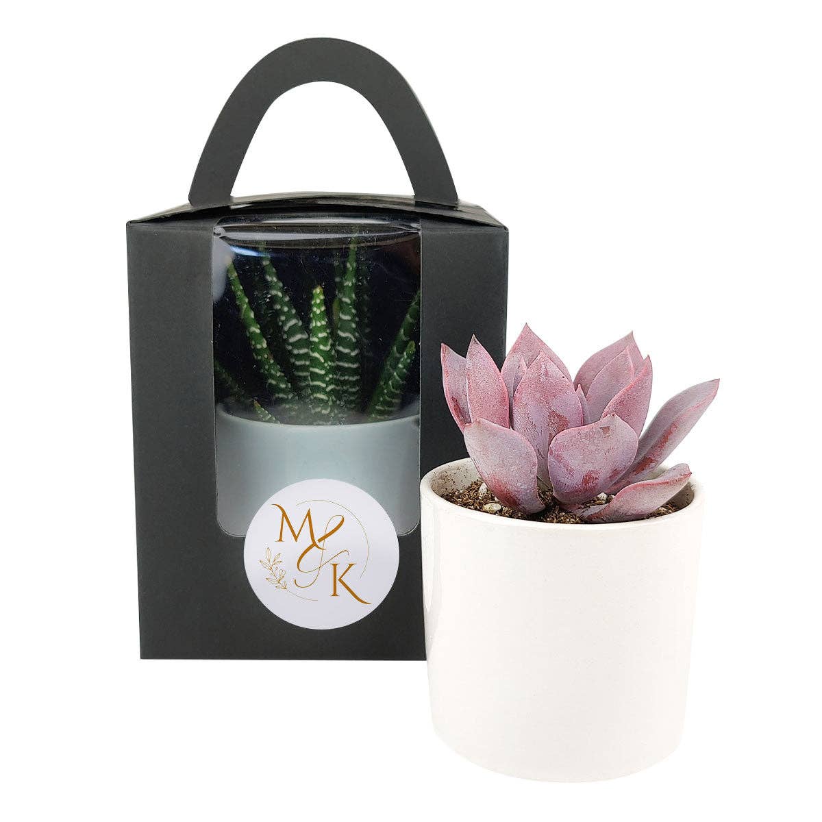 Plant Carrier Bag, Succulent Gift Box, Unique Gift Ideas