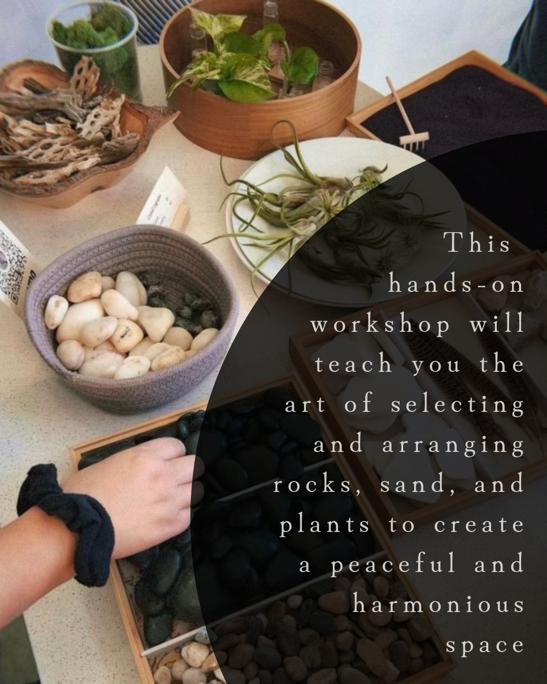 Mini Zen Garden Workshop hosted by Well with Kara