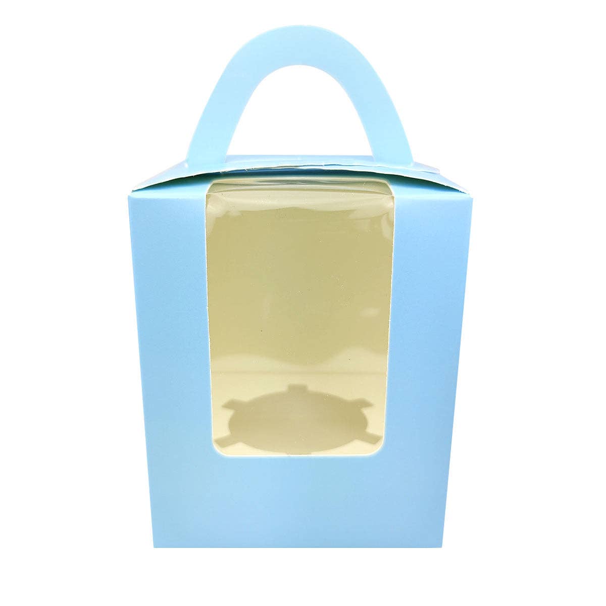 Plant Carrier Bag, Succulent Gift Box, Unique Gift Ideas