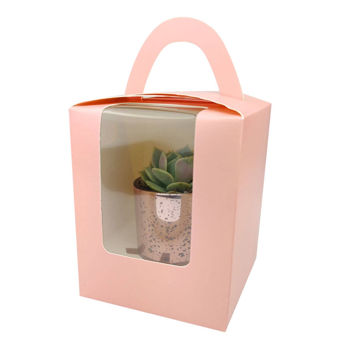 Plant Carrier Bag, Succulent Gift Box, Unique Gift Ideas