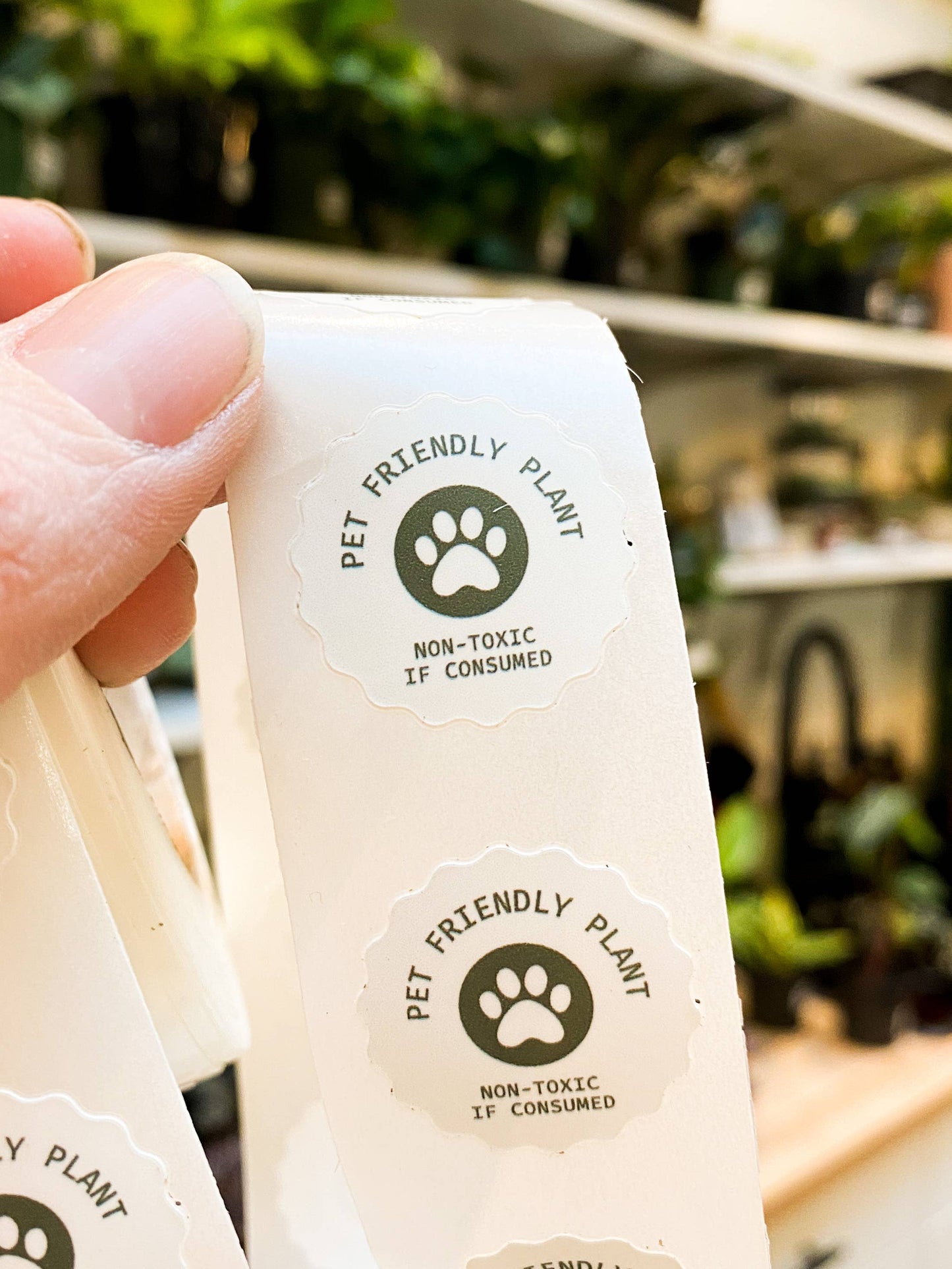 Pet Friendly Plant Sticker Rolls - 500+ Sticker Rolls