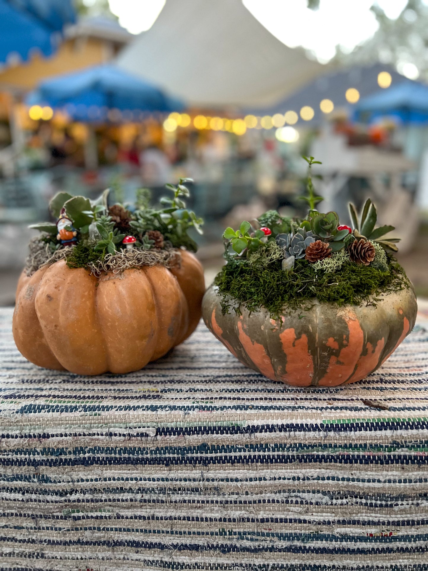 Pumpkin Succulent Workshop Ticket