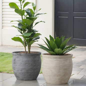 Allen Pot — Fits Small Drop-In