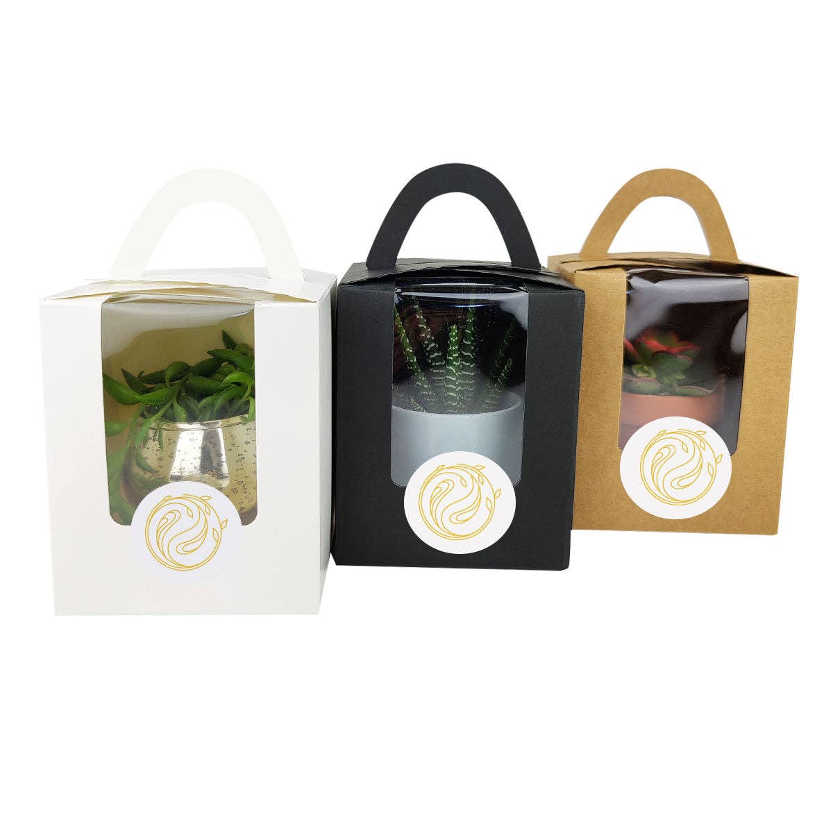 Plant Carrier Bag, Succulent Gift Box, Unique Gift Ideas