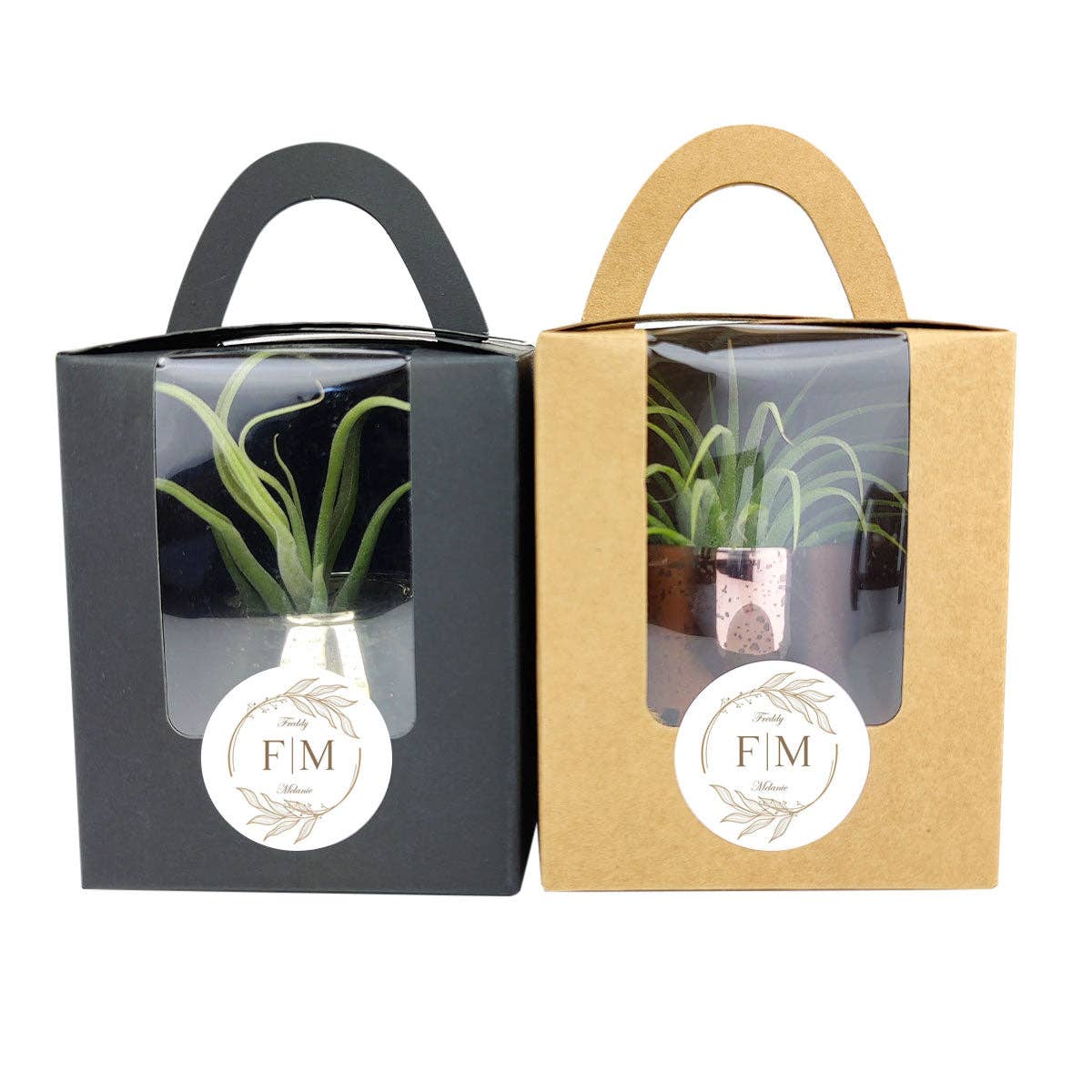 Plant Carrier Bag, Succulent Gift Box, Unique Gift Ideas