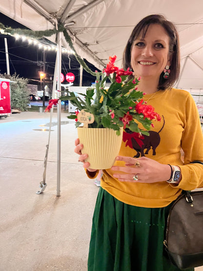 Christmas Cactus Workshop Ticket