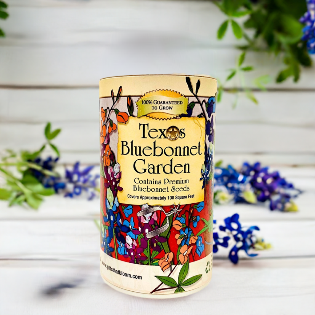 Texas  Bluebonnet Shaker Garden