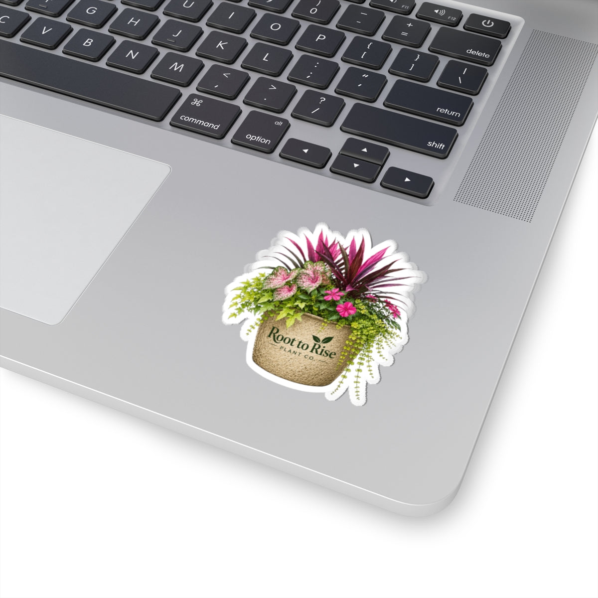 Tropical Planter Illustration Sticker | Kiss-Cut Sticker