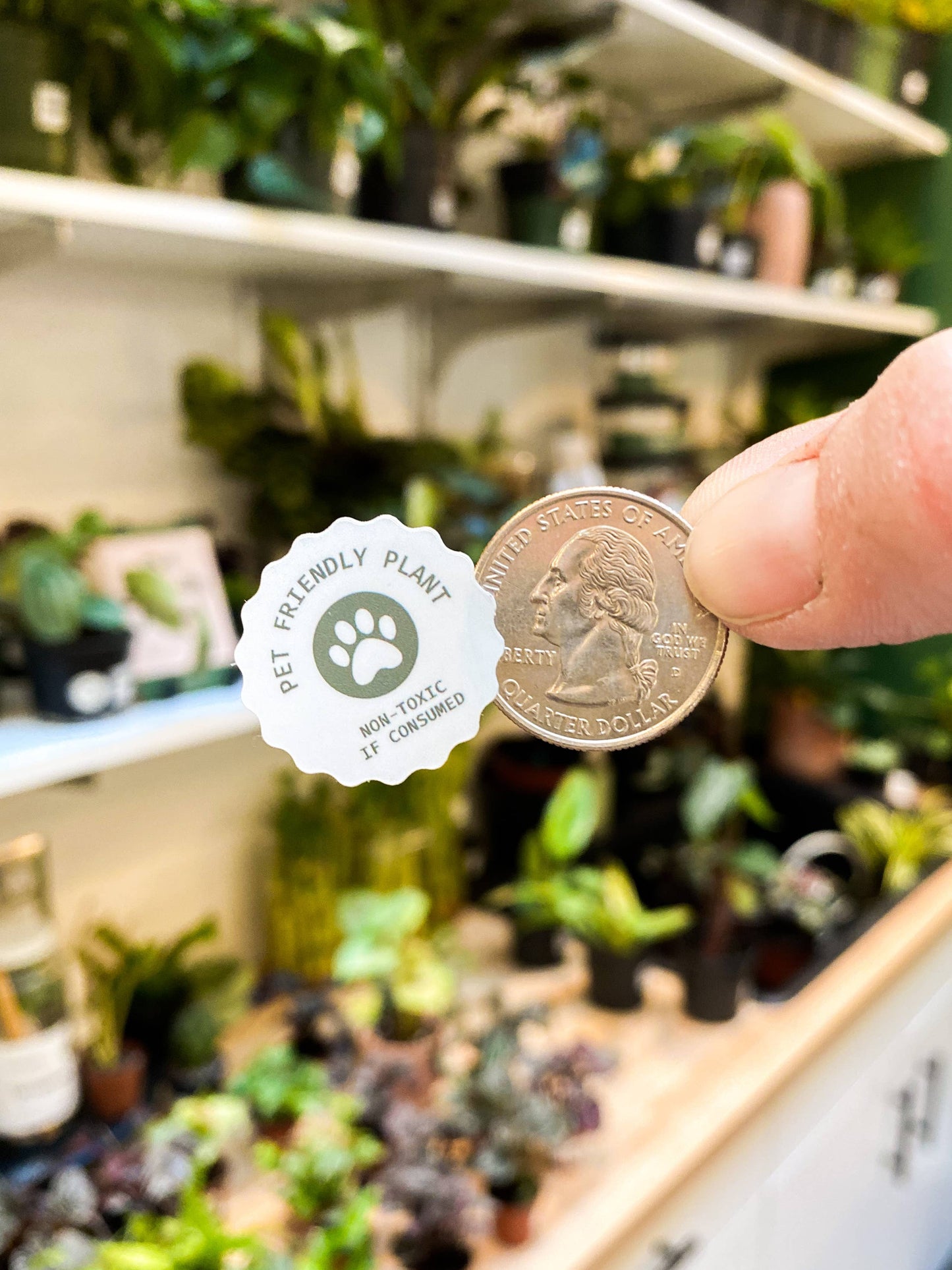 Pet Friendly Plant Sticker Rolls - 500+ Sticker Rolls