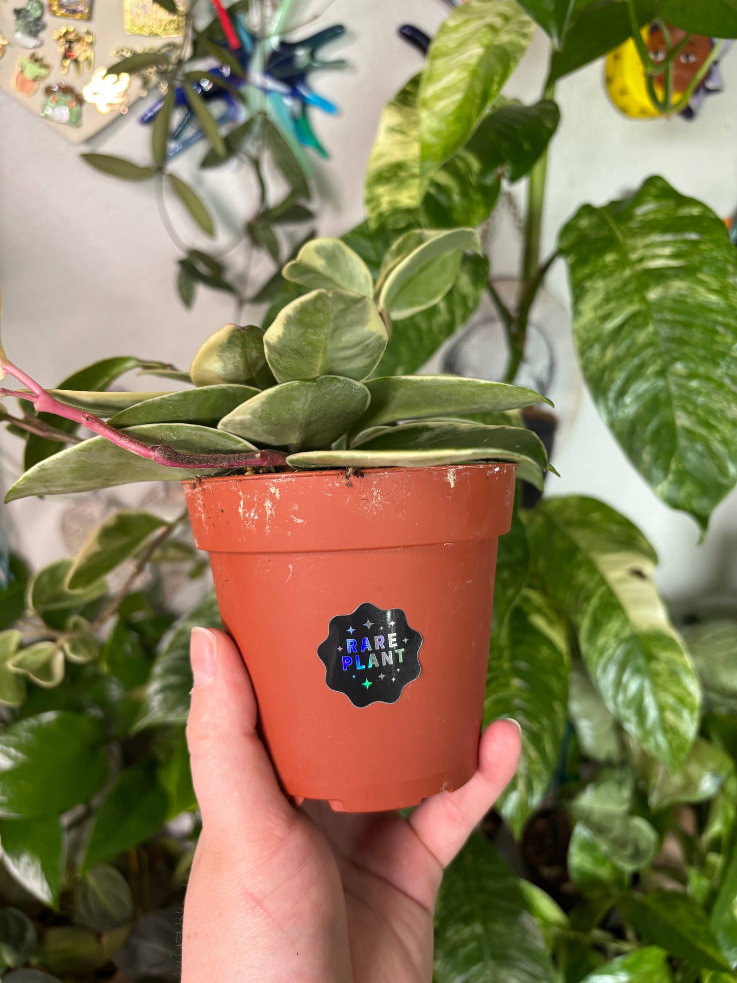 Rare Plant Label Sticker