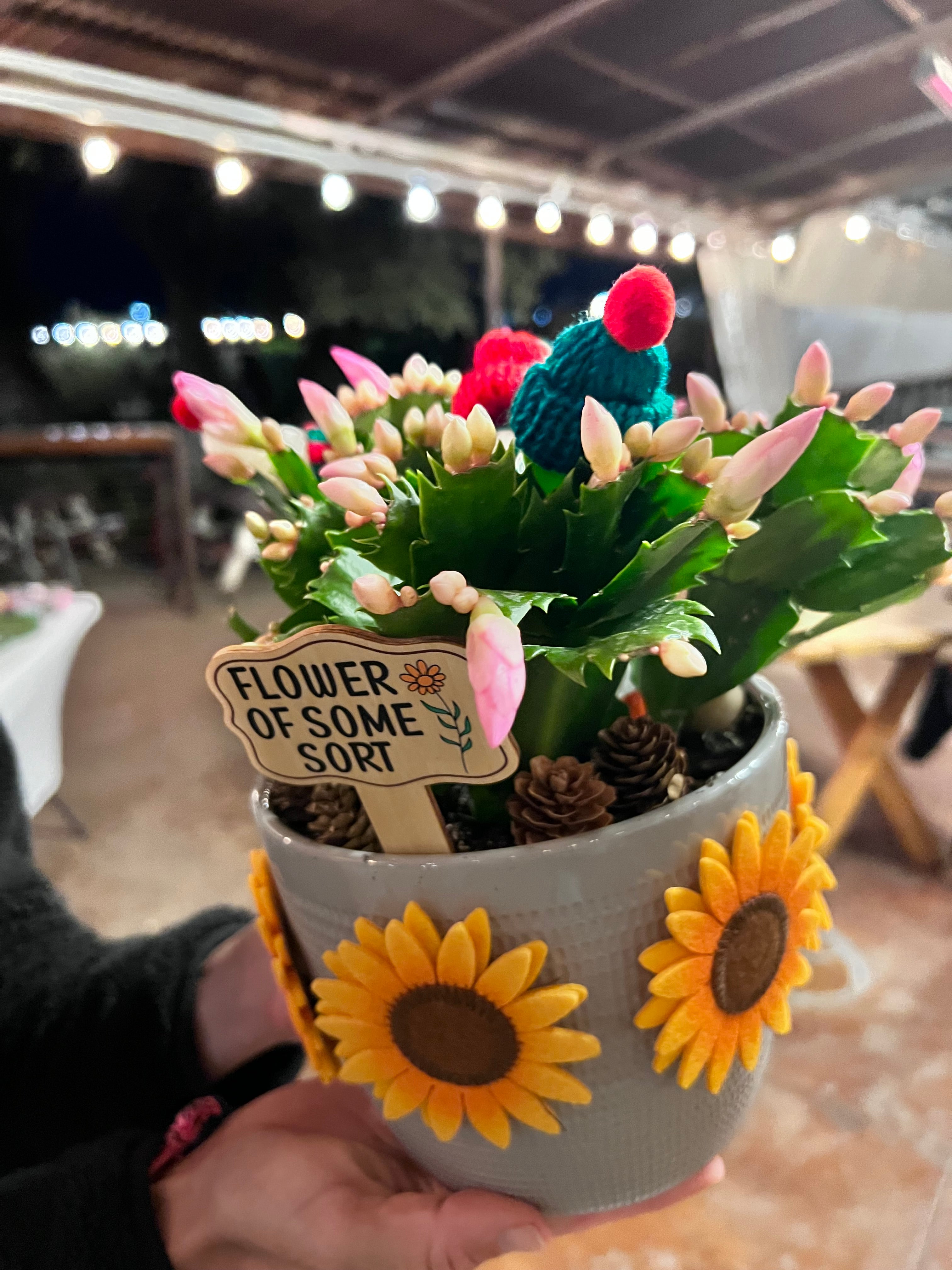 Hacienda Christmas Cactus Workshop Ticket
