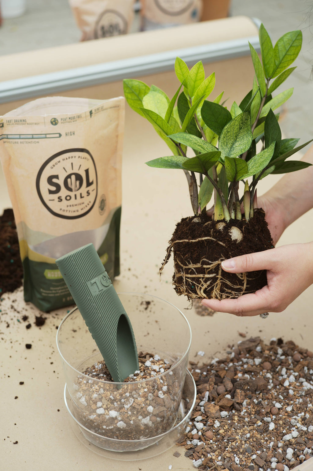 Bulk Soil - Houseplant Chunky Mix (7 Gal Box)