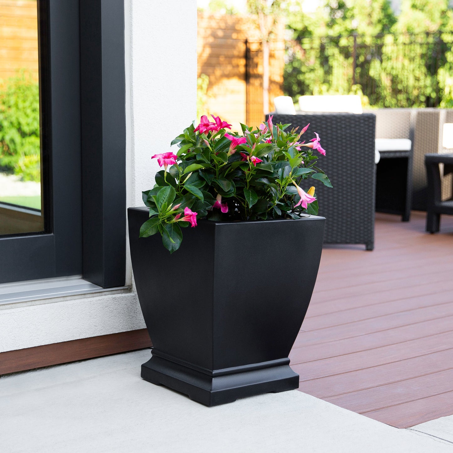 Acadia Planter styled with plants