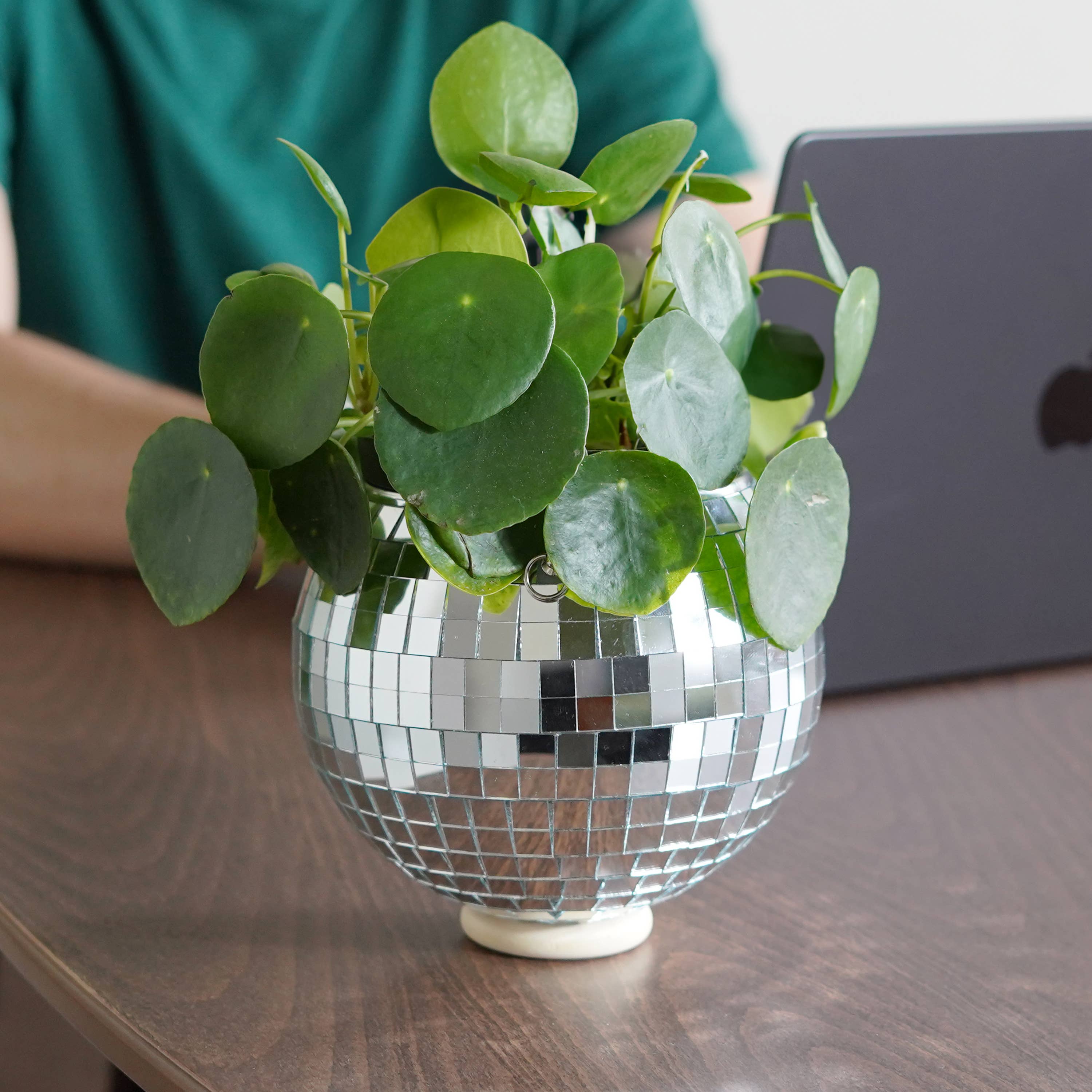 Disco Ball Hanging Planter 6-inch | Home & Lifestyle Gift