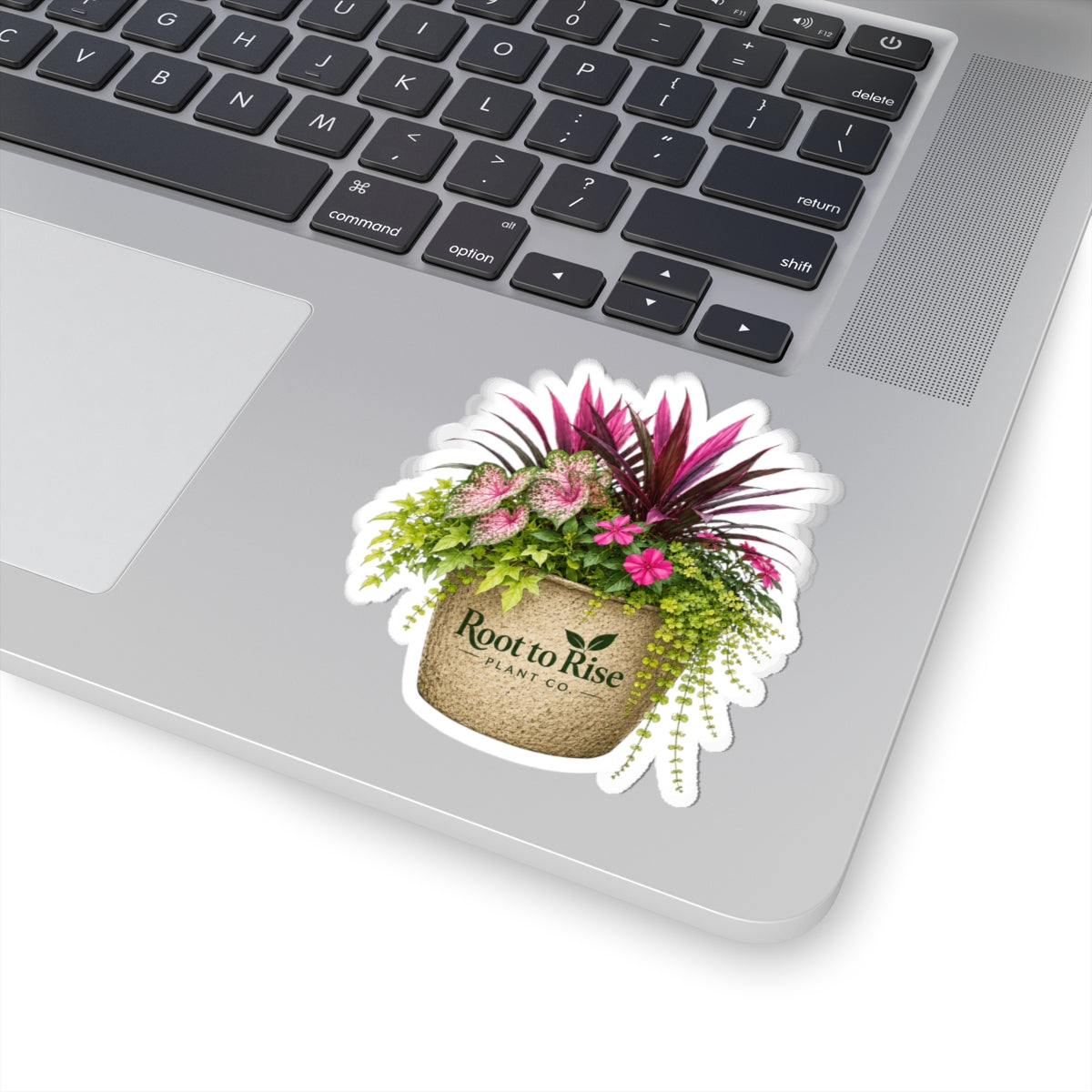 Tropical Planter Illustration Sticker | Kiss-Cut Sticker