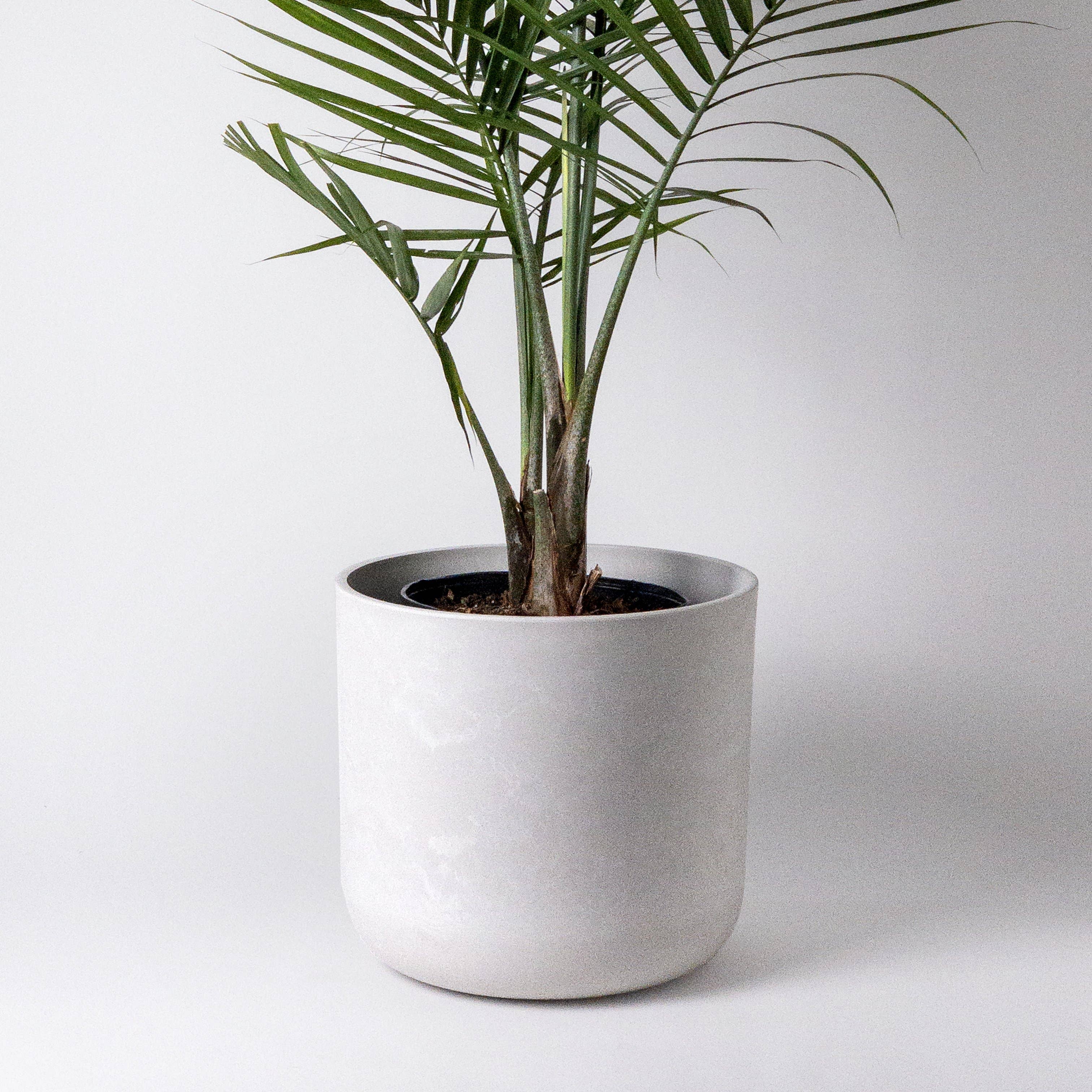 12” | 13" | 16" Signature Stone Planter Pot