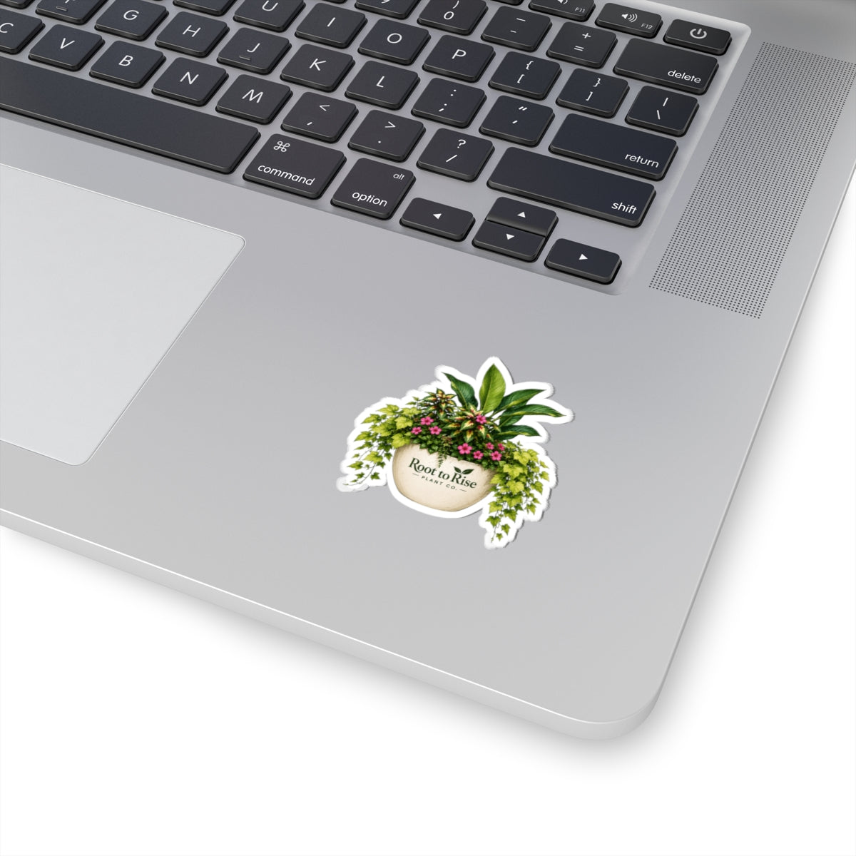 Potted Tropical Planter Sticker | Kiss-Cut Vinyl Plant Decal