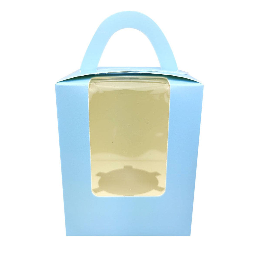 Plant Carrier Bag, Succulent Gift Box, Unique Gift Ideas