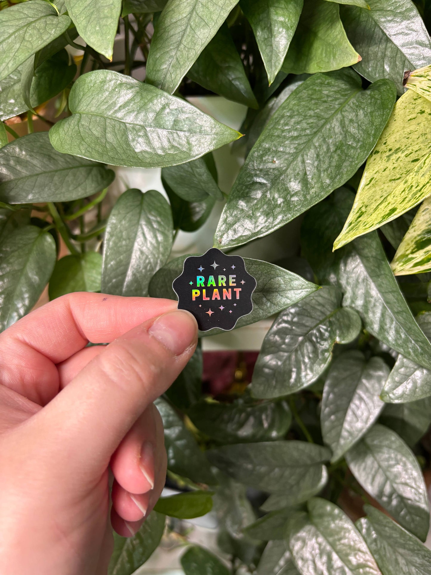 Rare Plant Label Sticker