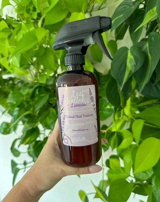 Leaf Wellness Lavender - 16oz