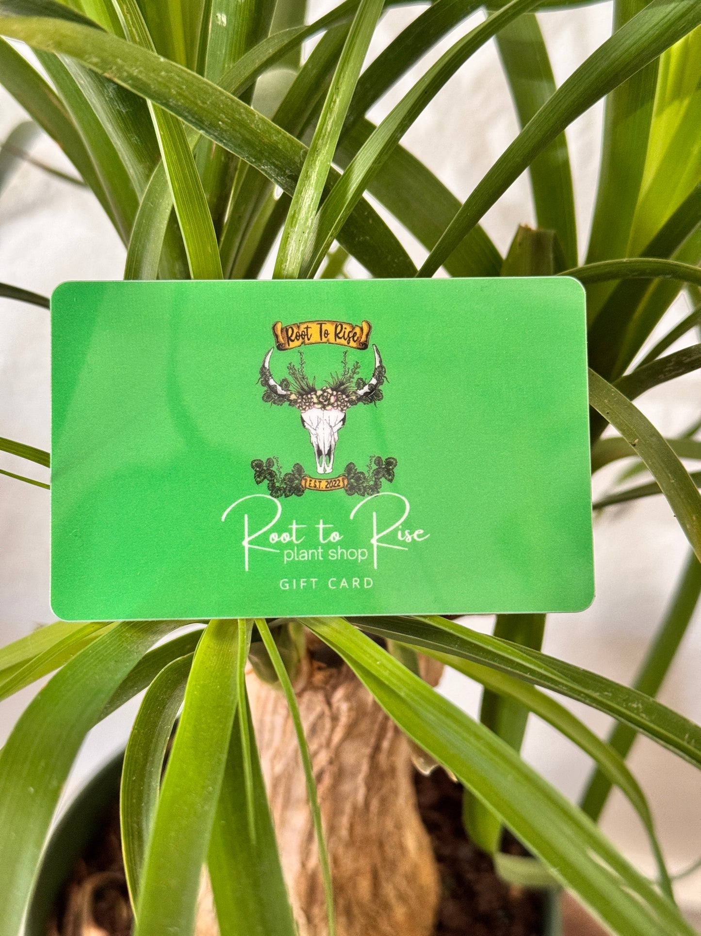 Root to Rise Gift Card
