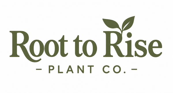 Root to Rise