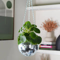 Disco Ball Hanging Planter 6-inch | Home & Lifestyle Gift