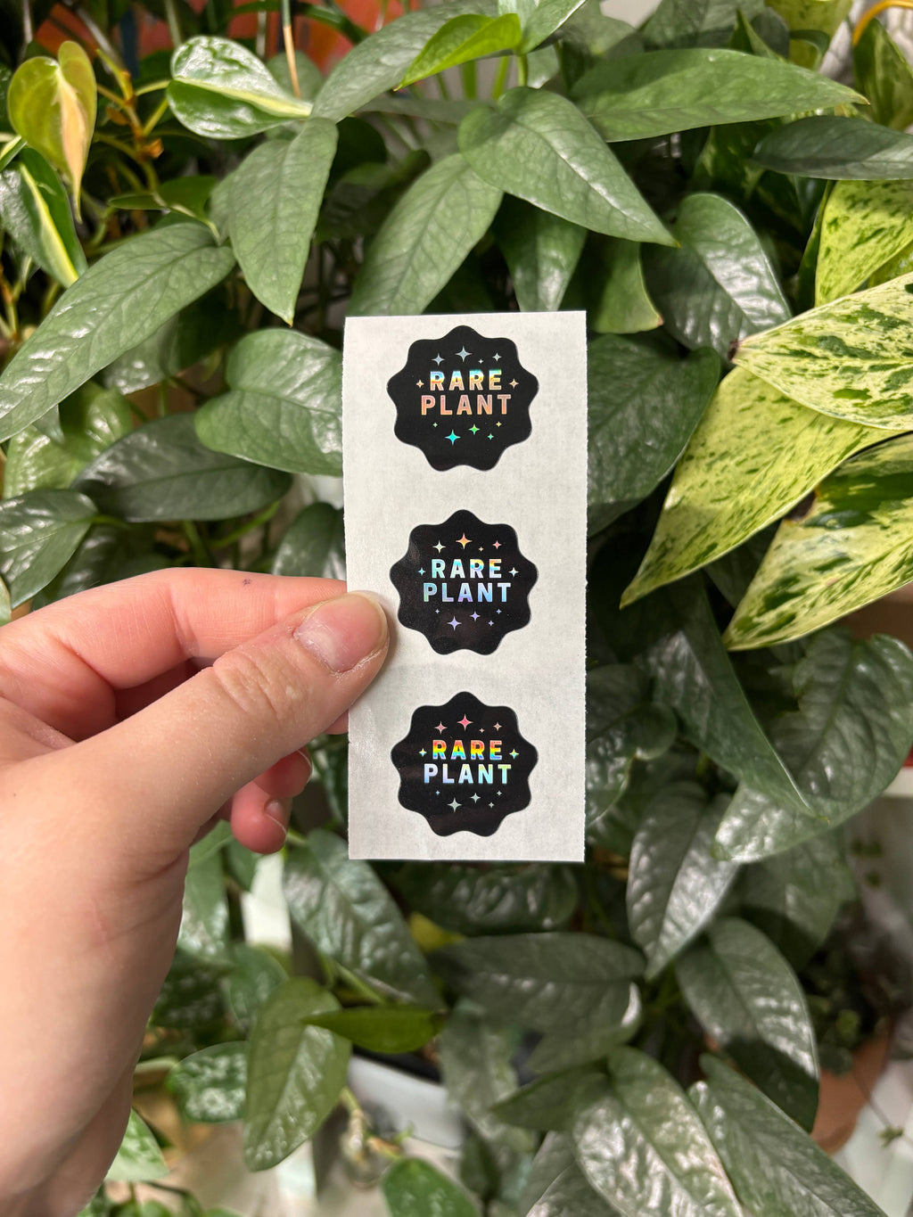 Rare Plant Label Sticker