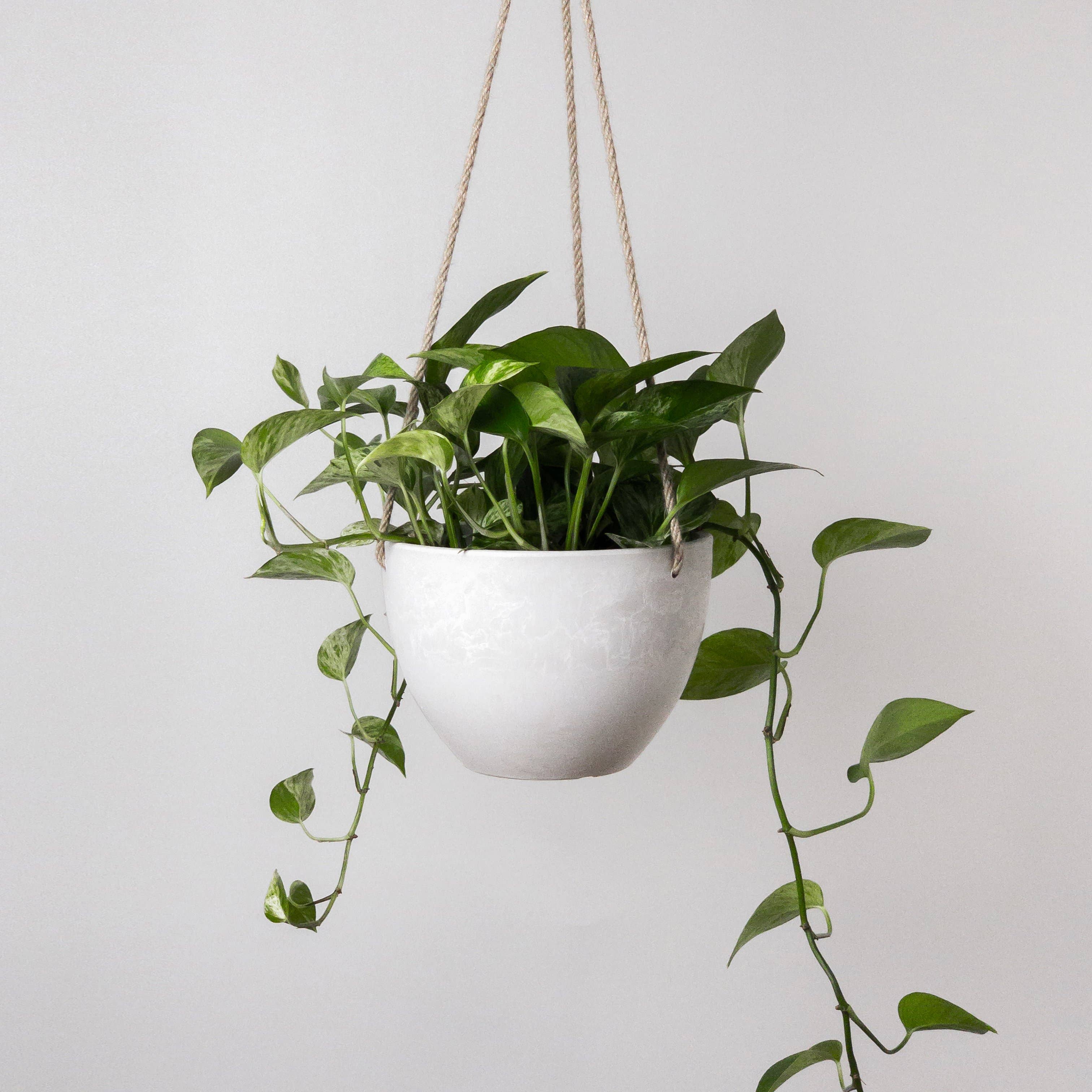 8" | Signature Stone Hanging Planter Pot
