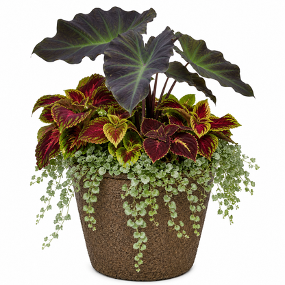 Drop In Inserts