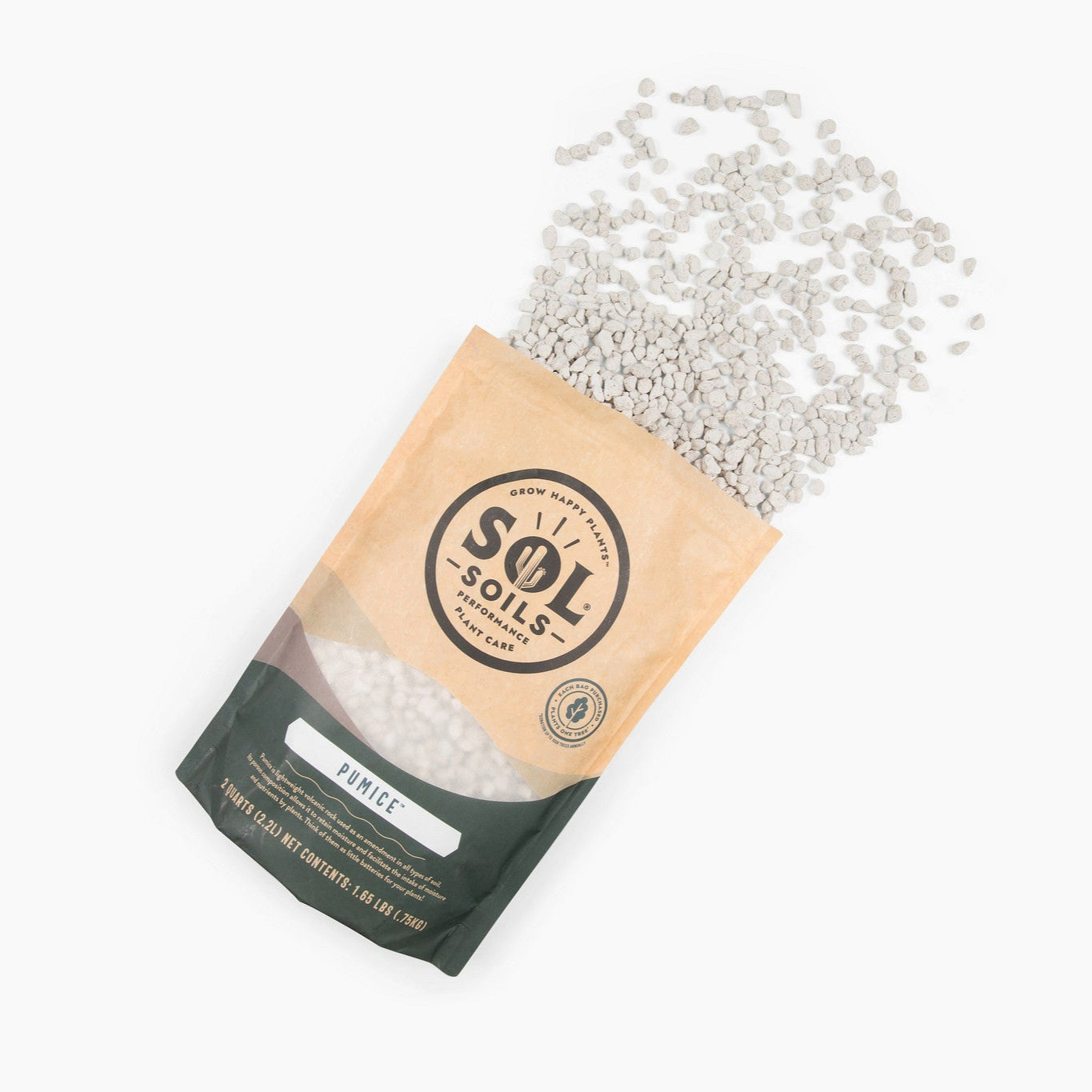 Pumice